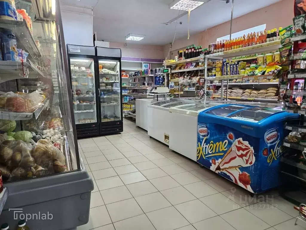 Торговая площадь в Амурская область, Благовещенский район, с. Чигири ... - Фото 2