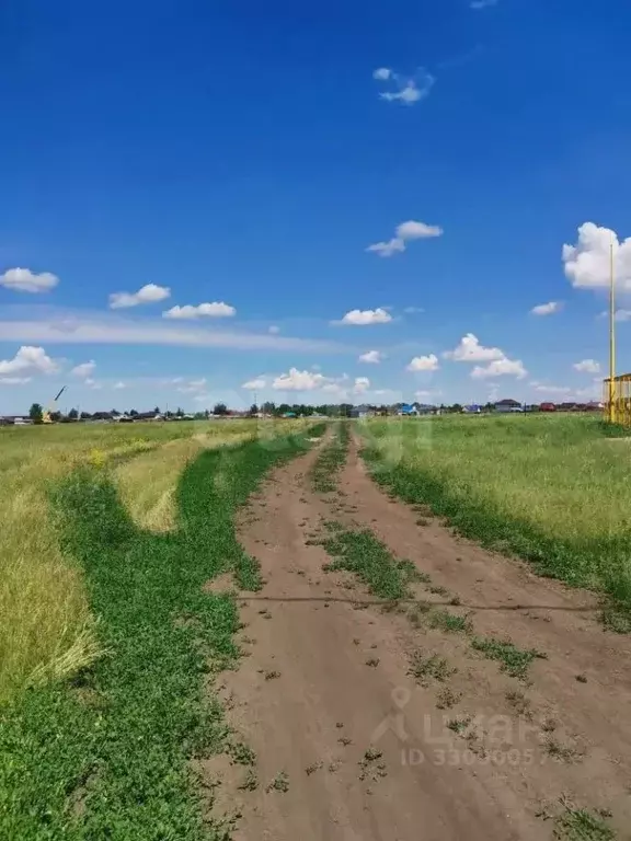 Участок в Омская область, Омский район муниципальный округ, с. ... - Фото 1