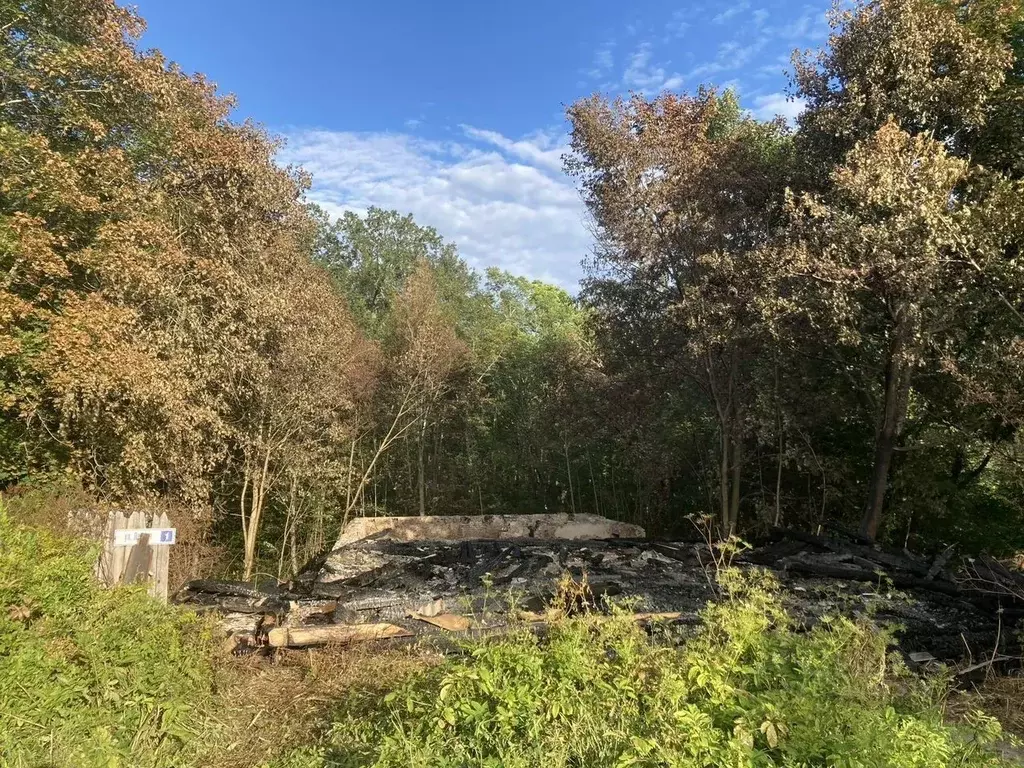 Участок в Псковская область, Палкинский муниципальный округ, ... - Фото 1