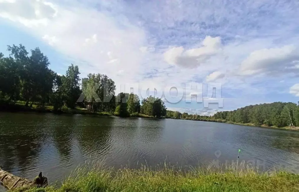 Дом в Новосибирская область, Новосибирский район, Станционный ... - Фото 1