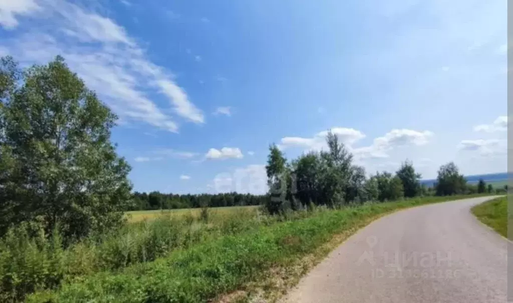 Участок в Нижегородская область, Большемурашкинский муниципальный ... - Фото 0