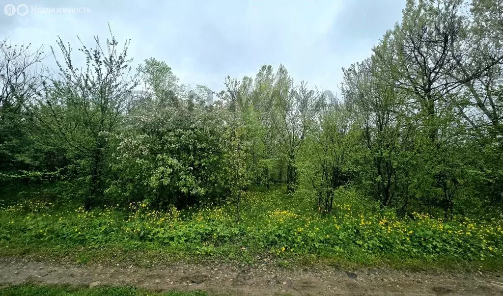 Участок в посёлок Табачный, 3-я Кизиловая улица (5.16 м) - Фото 1
