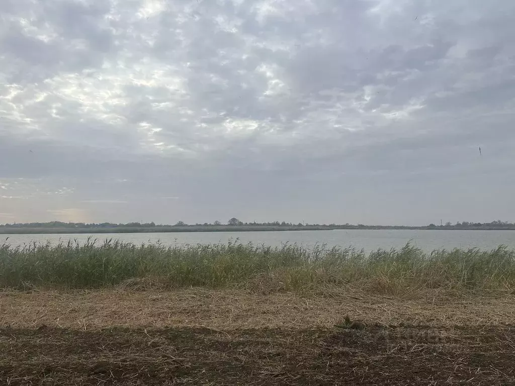 Участок в Краснодарский край, Тихорецкий район, Новорождественское ... - Фото 1