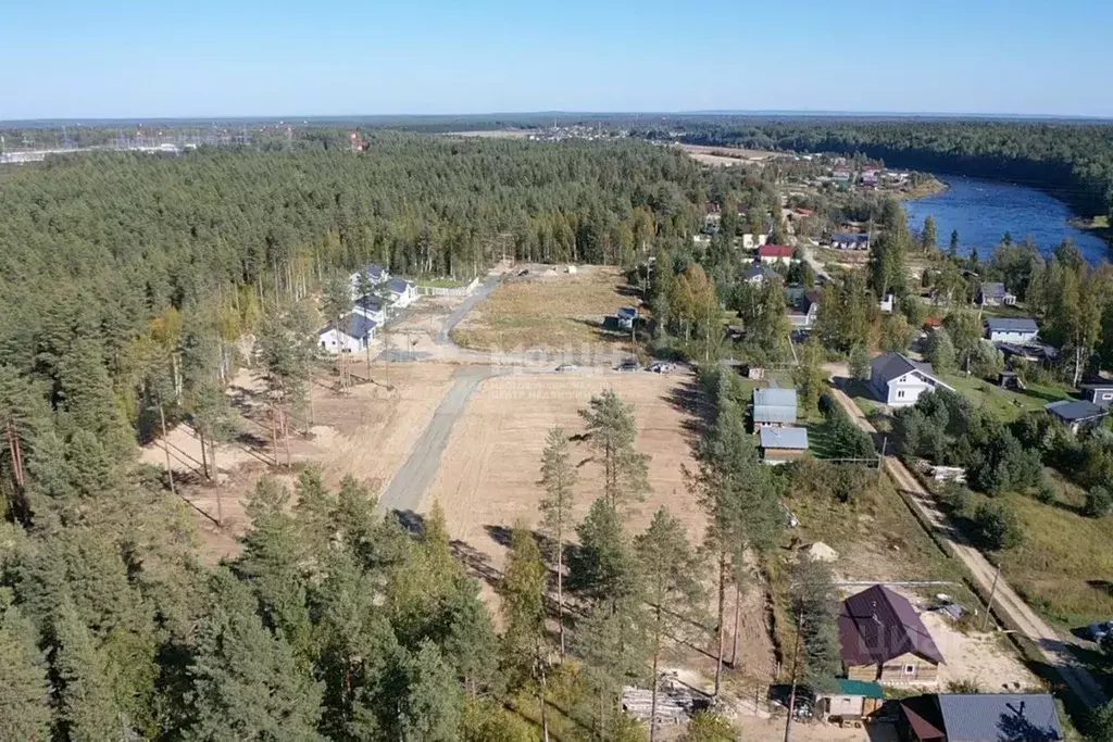 Участок в Карелия, Пряжинский район, Чалнинское с/пос, д. Виданы ул. ... - Фото 1