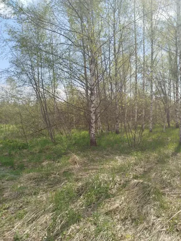 Участок в Московская область, Клин городской округ, д. Радованье  ... - Фото 1