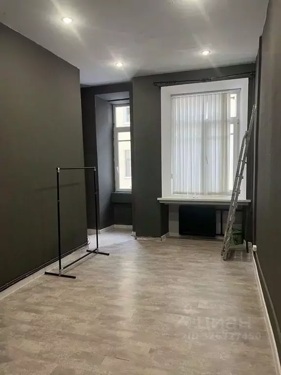 Офис в Санкт-Петербург пер. Басков, 13-15 (18 м) - Фото 2