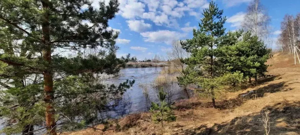 Участок в Новгородская область, Боровичский район, д. Егла  (22.0 ... - Фото 1