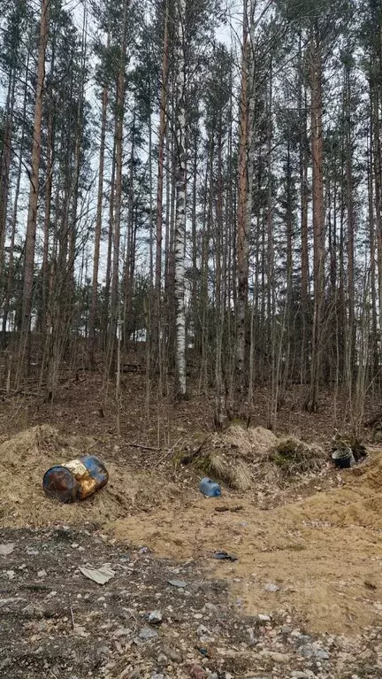 Участок в Ленинградская область, Всеволожский район, Токсовское ... - Фото 1