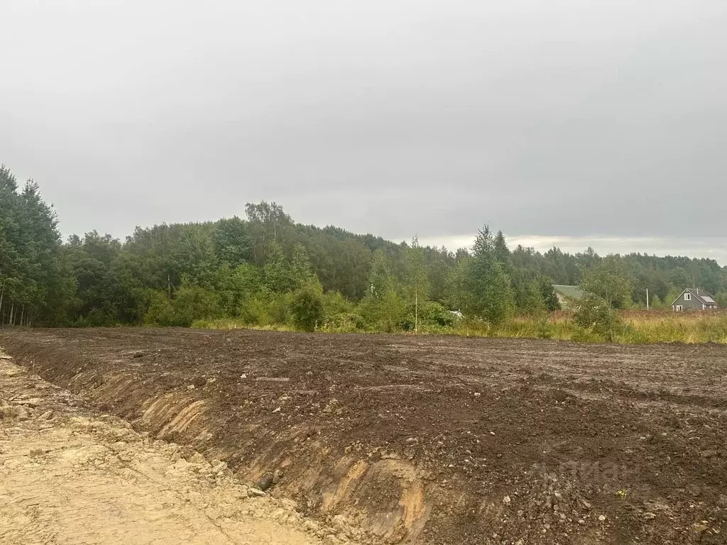 Участок в Ленинградская область, Ломоносовский район, Лопухинское ... - Фото 1