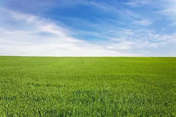 Участок в Тверская область, Калязинский муниципальный округ, д. ... - Фото 2