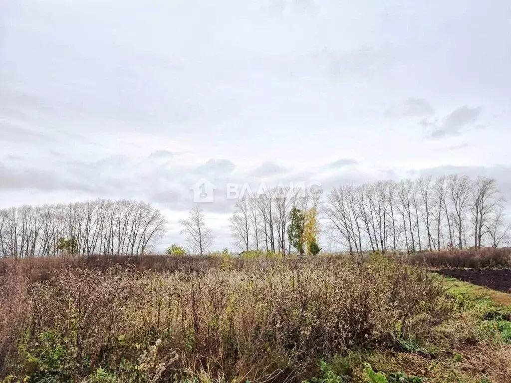 Участок в Башкортостан, Стерлитамакский район, Айгулевский сельсовет, ... - Фото 2