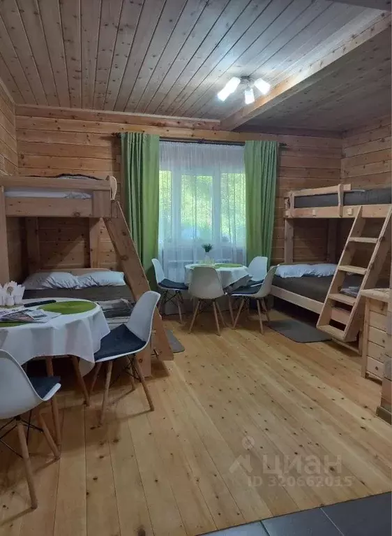 Дом в Алтай, Турочакский район, с. Артыбаш пер. Еловый, 6 (30 м) - Фото 0