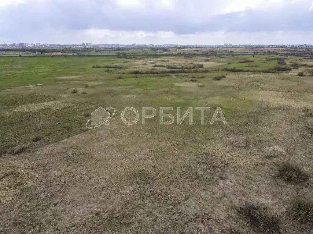 Участок в Тюменская область, Нижнетавдинский район, с. Носырево  ... - Фото 0