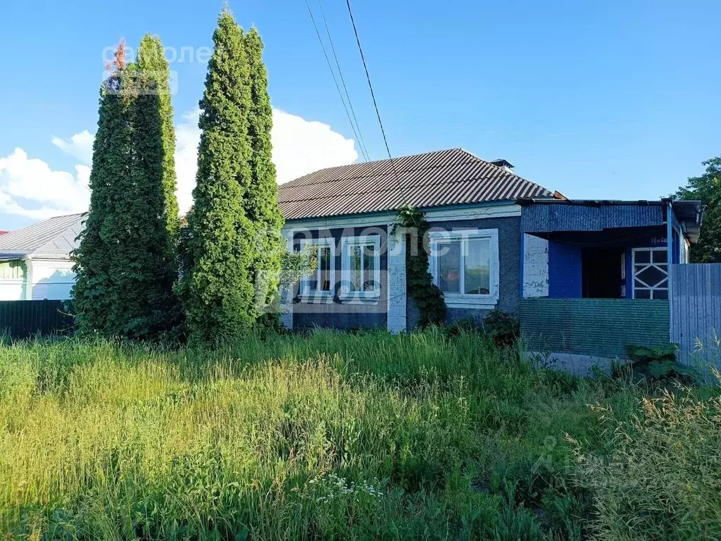 Дом в Воронежская область, с. Семилуки ул. Садовая (81 м) - Фото 0