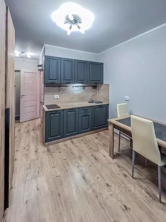 Студия Санкт-Петербург пос. Парголово, проезд Толубеевский, 8к2 (22.0 ... - Фото 2