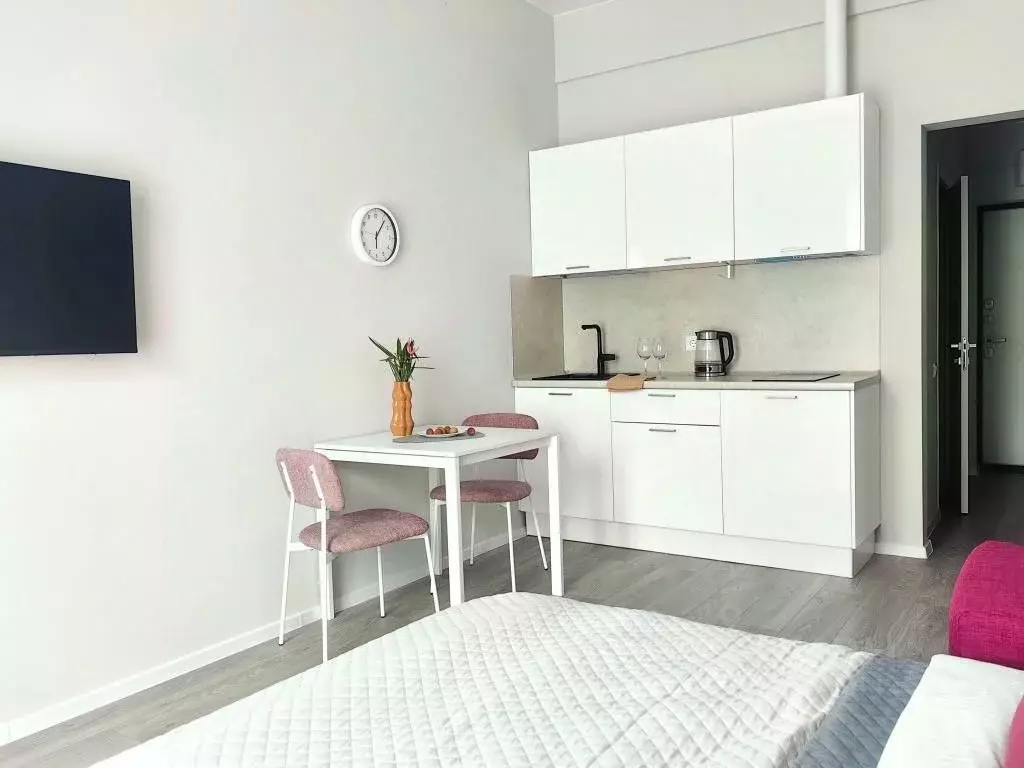 1-к кв. Краснодарский край, Сочи ул. Искры, 88к8 (27.0 м) - Фото 1