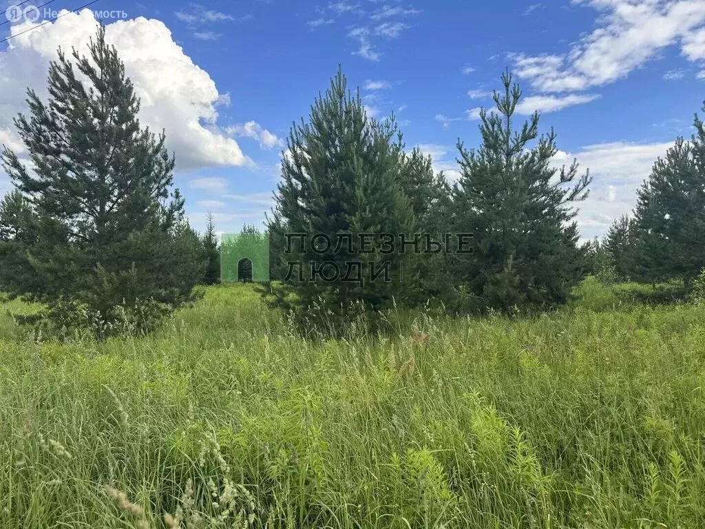 Участок в Завьяловский район, деревня Старые Кены, Крымская улица ... - Фото 1