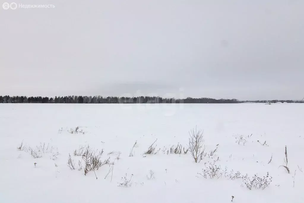 Участок в Тюменский муниципальный округ, Каменское муниципальное ... - Фото 2