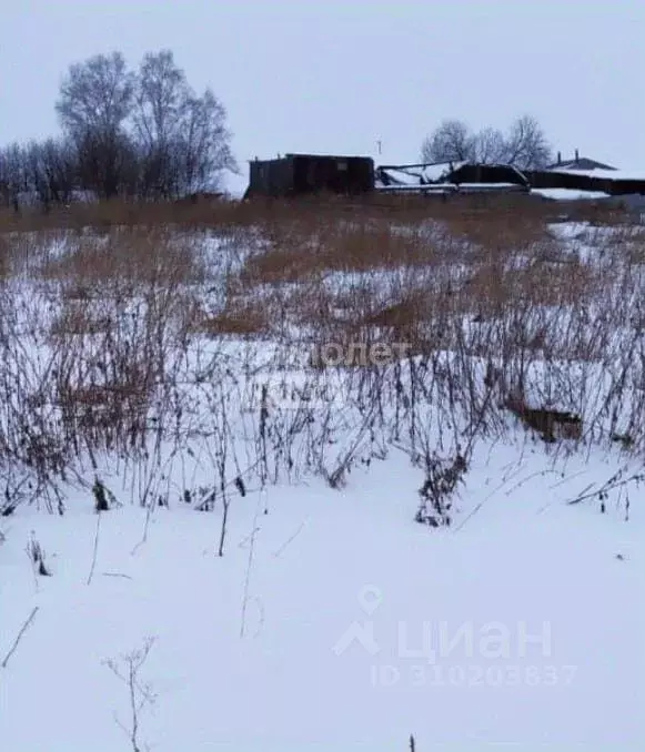 Участок в Свердловская область, Белоярский городской округ, д. ... - Фото 0