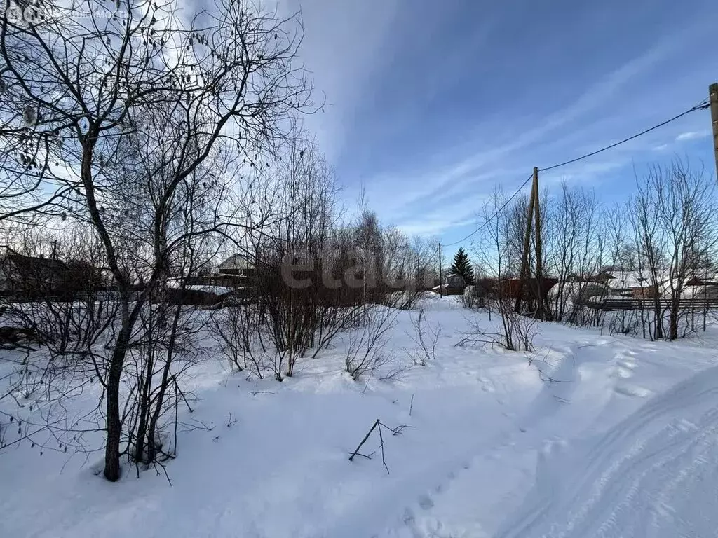 Участок в Архангельская область, Приморский муниципальный округ, ... - Фото 1