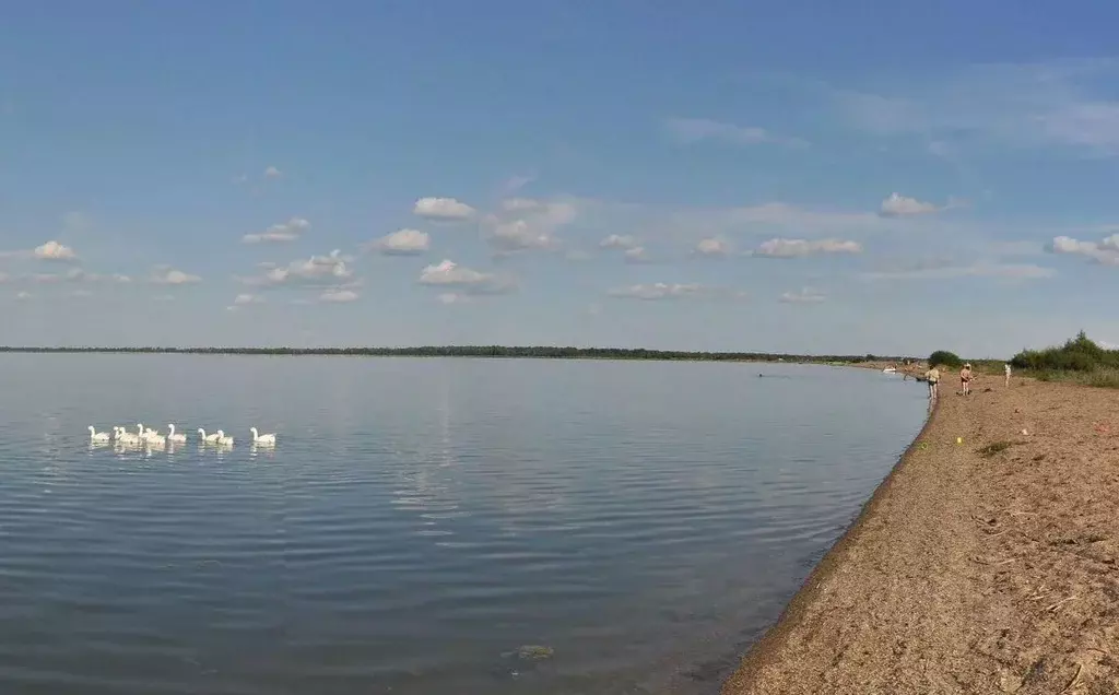 Участок в Челябинская область, Каслинский муниципальный округ, с. ... - Фото 1