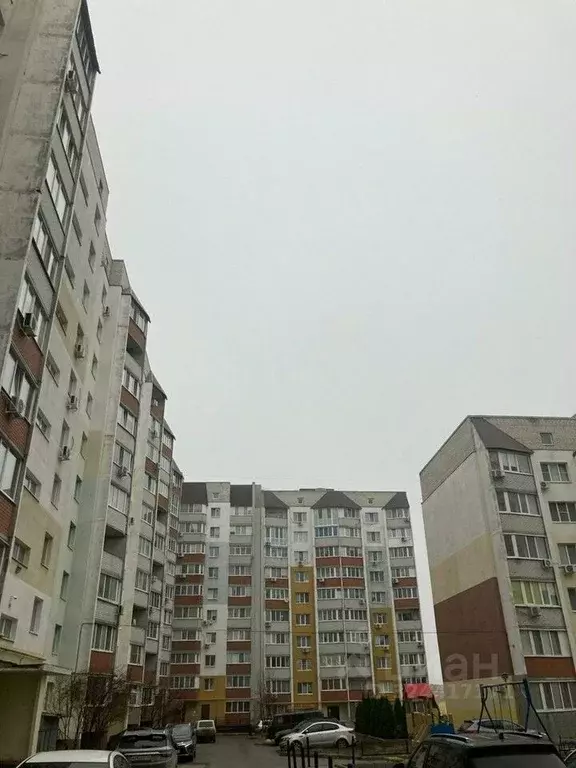 1-к кв. Саратовская область, Саратов проезд 2-й имени Блинова Ф.А., 3 ... - Фото 2