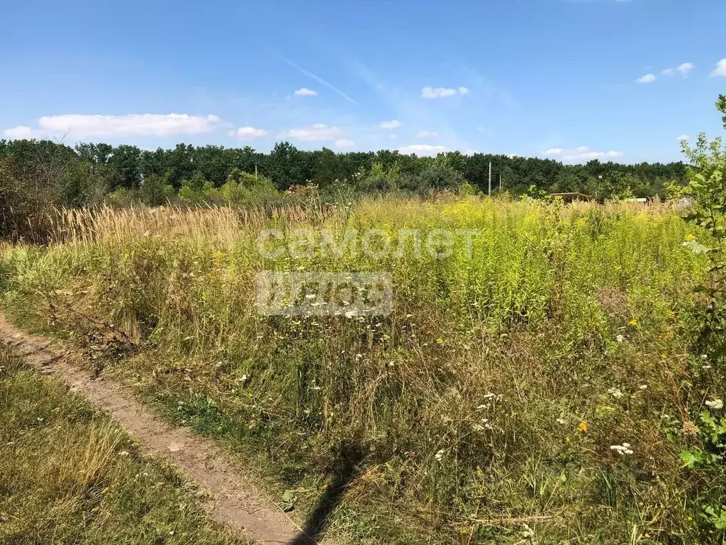 Участок в Липецкая область, Липецк Металлург-6 СНТ, 8/116 (6.0 сот.) - Фото 2