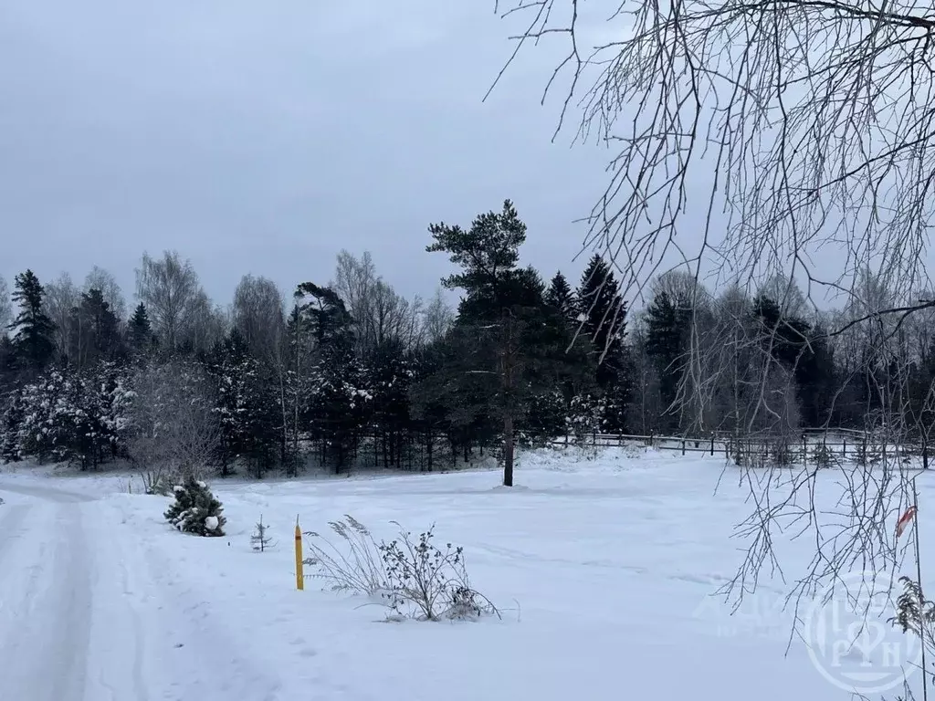Участок в Ленинградская область, Лужский район, Скребловское с/пос, д. ... - Фото 2