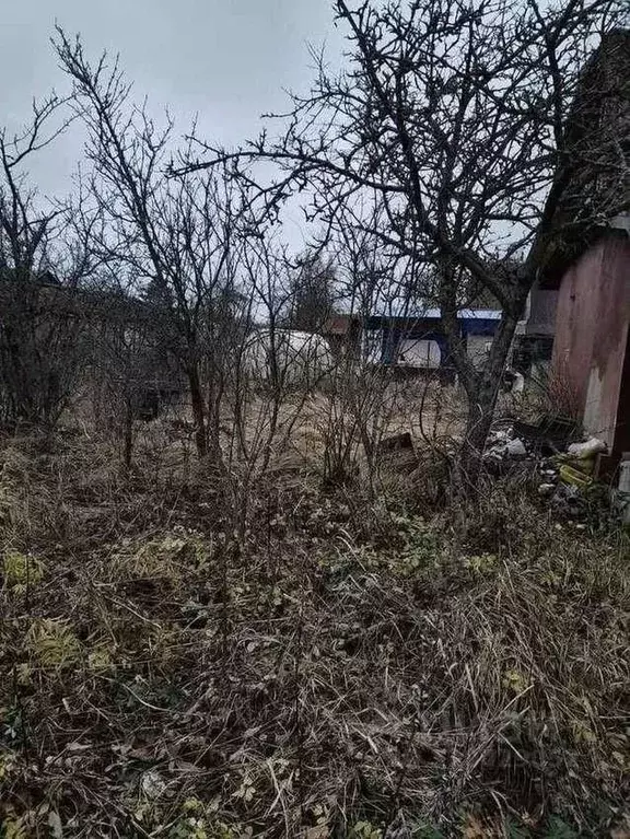 Дом в Новгородская область, Великий Новгород Дружба-2 садоводческое ... - Фото 1