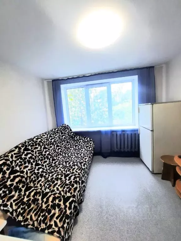 Комната Красноярский край, Красноярск ул. Курчатова, 8/19 (16.0 м) - Фото 1