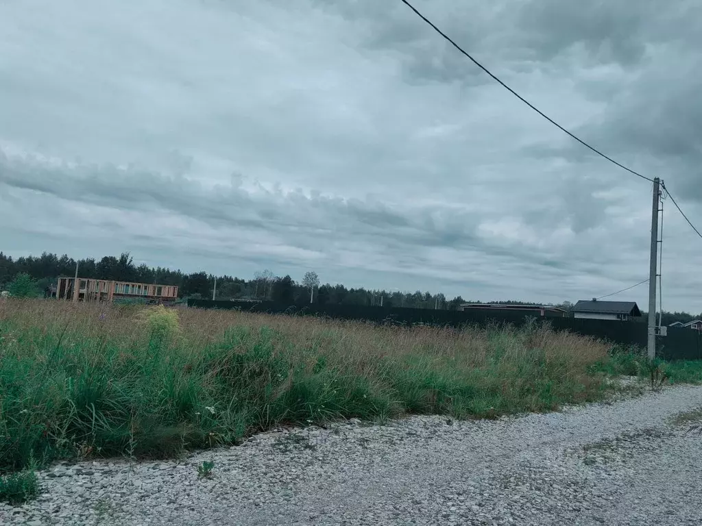 Участок в Московская область, Богородский городской округ, д. Починки ... - Фото 1