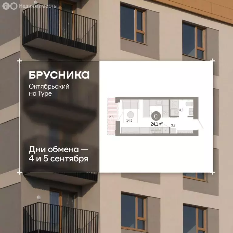 1-комнатная квартира: Тюмень, Краснооктябрьская улица, 4к2 (23.9 м) - Фото 1