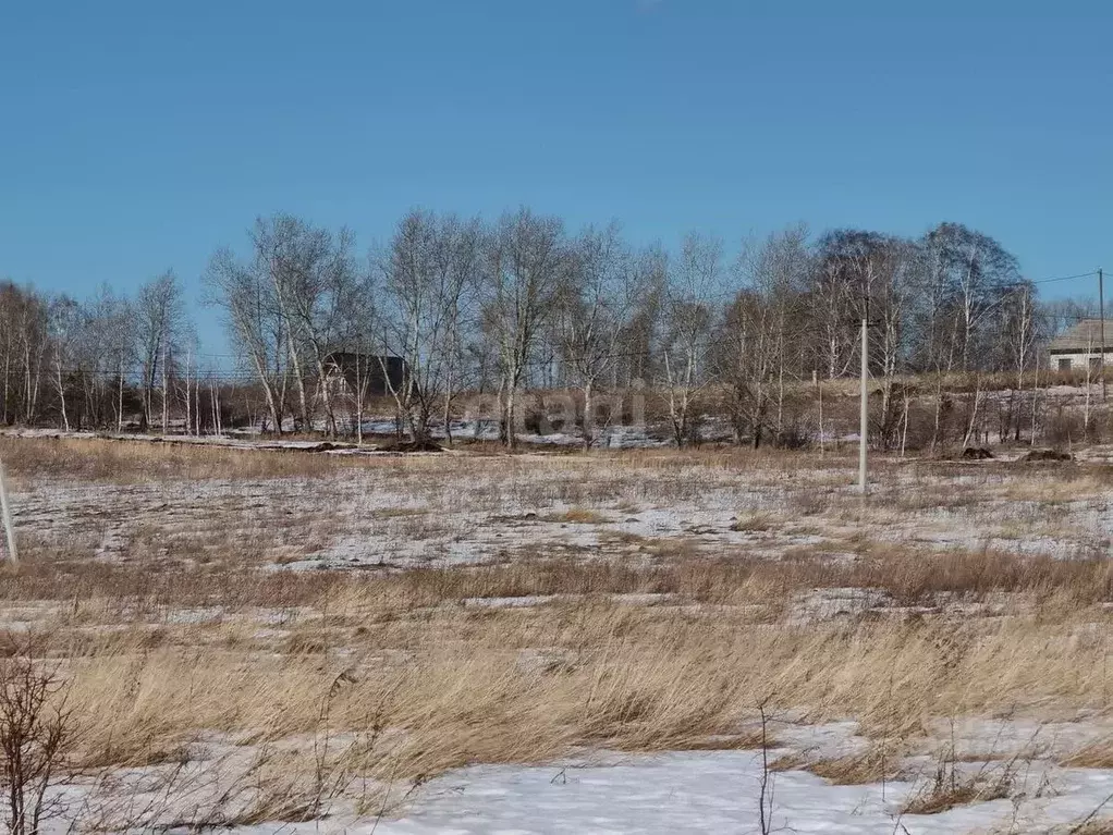 Участок в Курганская область, Шадринский муниципальный округ, с. Ключи ... - Фото 1