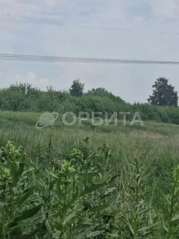 Участок в Тюменская область, Тюмень Лаванда садовое товарищество,  ... - Фото 0