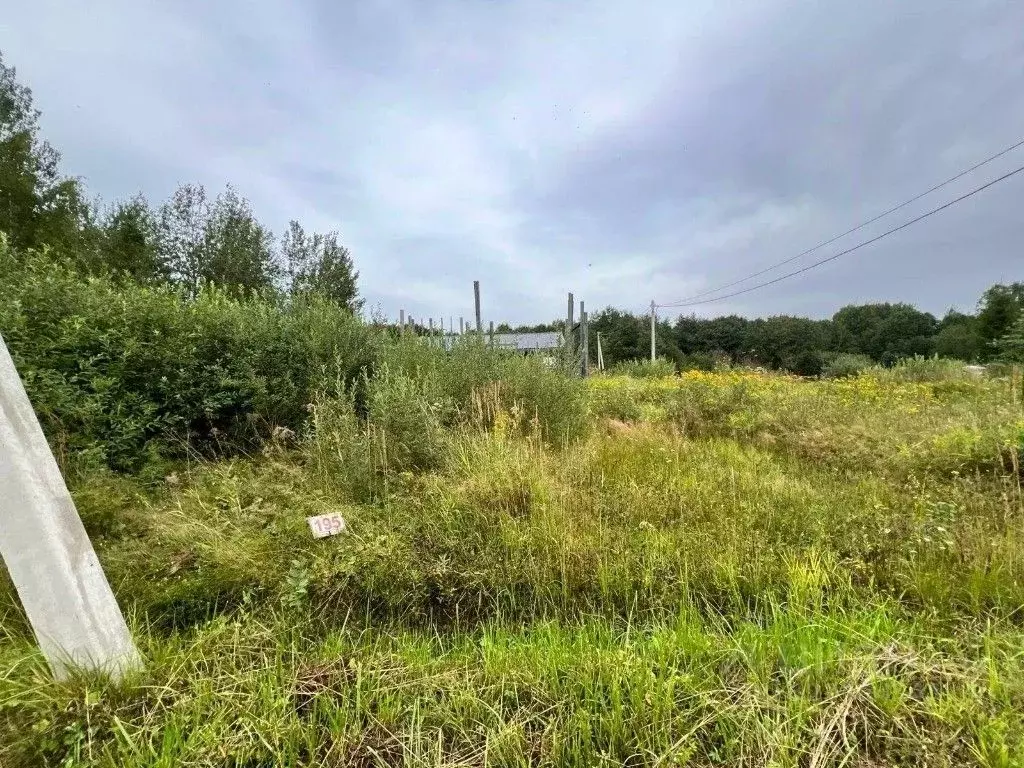 Участок в Ленинградская область, Гатчинский муниципальный округ, ... - Фото 2