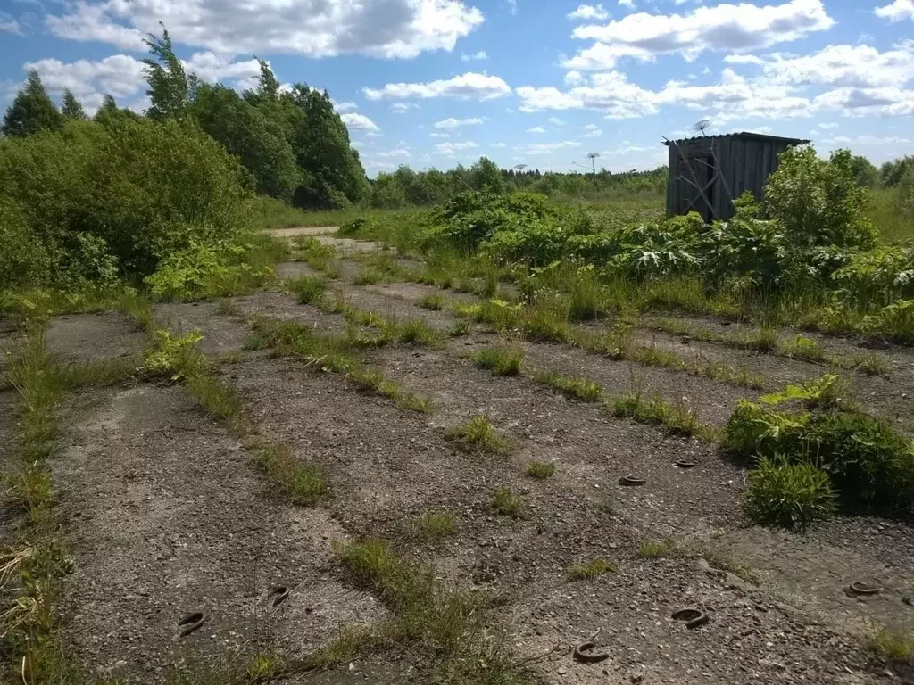 Помещение свободного назначения в Псковская область, Печорский ... - Фото 2