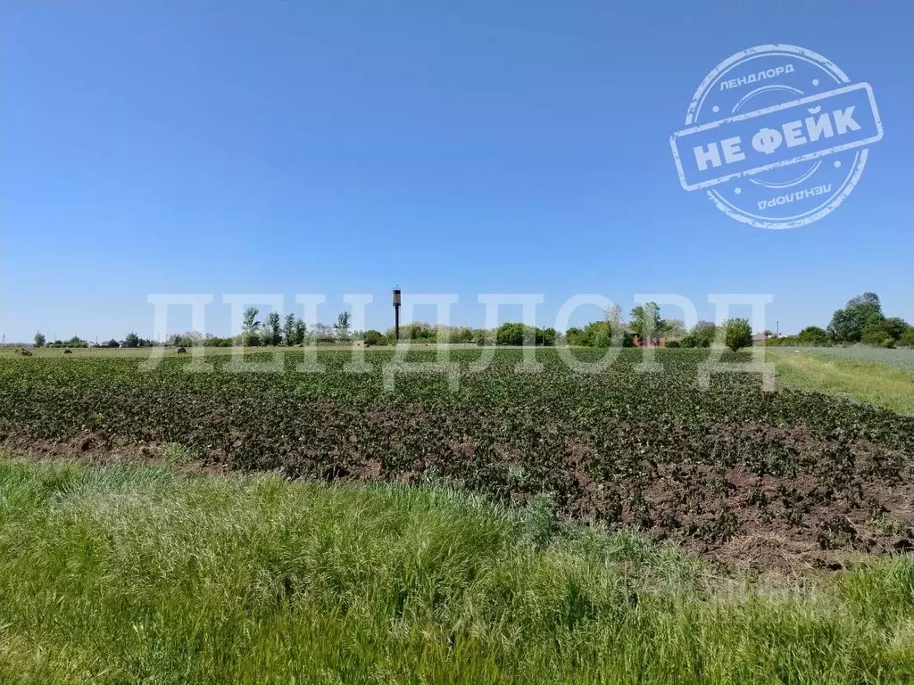 Участок в Ростовская область, Багаевский район, Манычское с/пос, ... - Фото 1