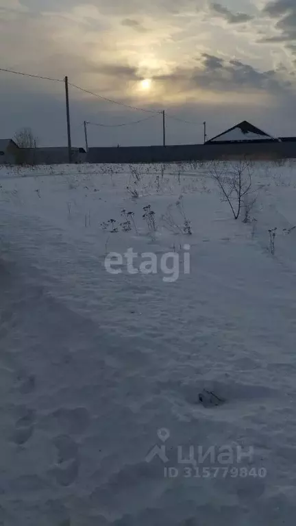 Участок в Курганская область, Шадринский муниципальный округ, с. ... - Фото 1