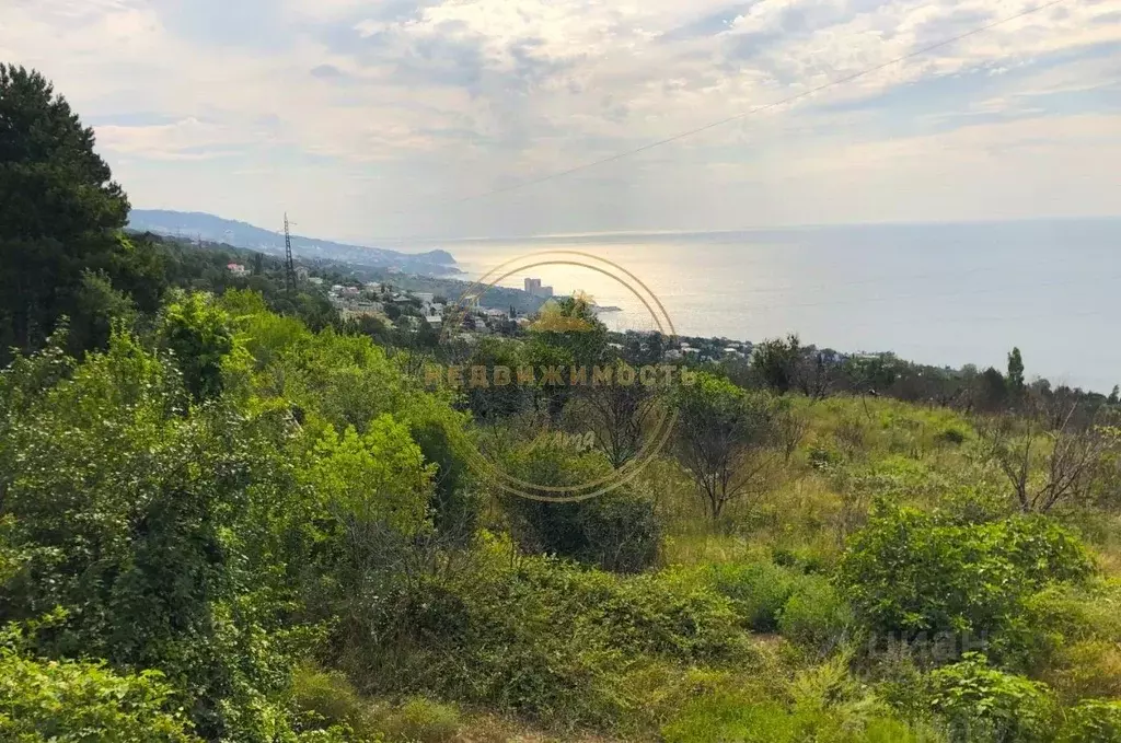 Участок в Крым, Алупка ш. Южнобережное (10.0 сот.) - Фото 1