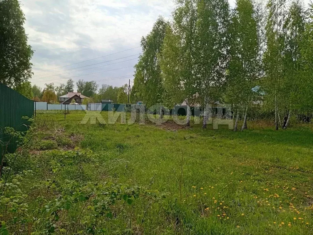 Участок в Омская область, Омск СНТ Опора ТСН,  (11.0 сот.) - Фото 1