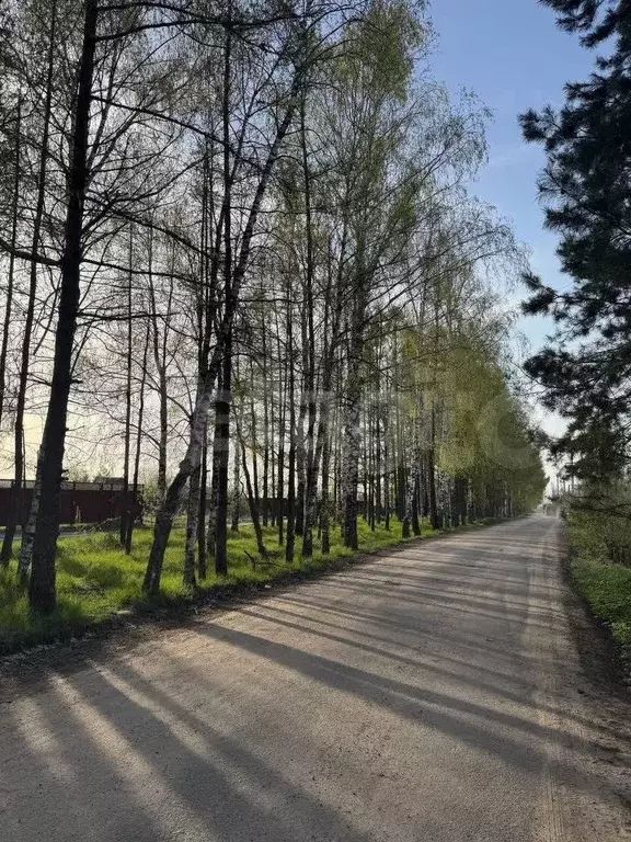 Участок 6,8 сот. (СНТ, ДНП) - Фото 0