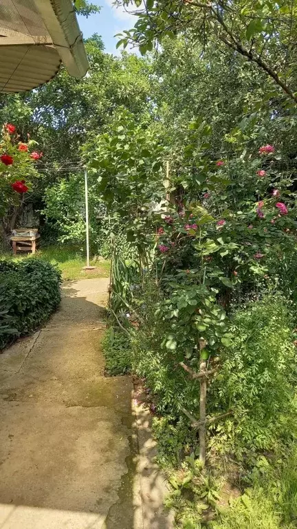 Дом в Краснодарский край, Горячий Ключ Кунпанова Поляна СТ, ул. ... - Фото 1