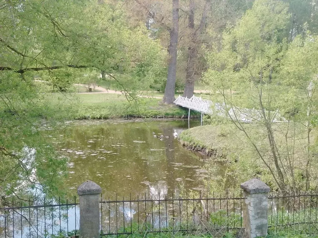 Участок в Брянская область, Жуковский муниципальный округ, с. Овстуг ... - Фото 1