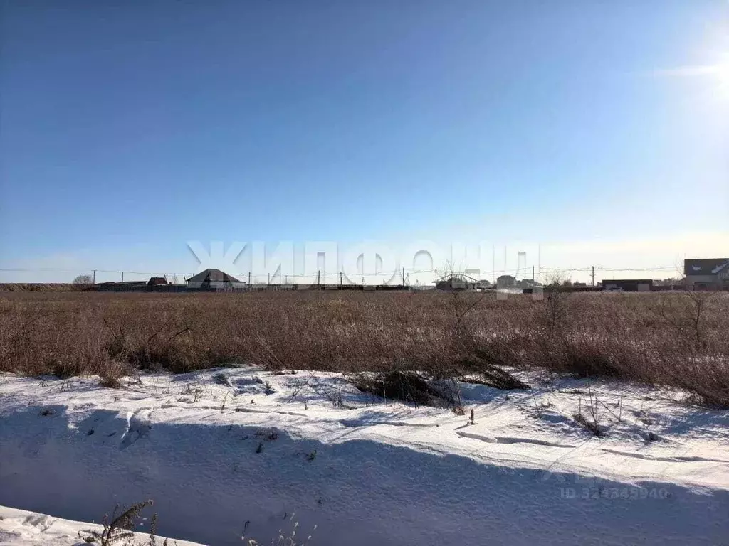Участок в Амурская область, Благовещенский район, с. Владимировка  ... - Фото 1