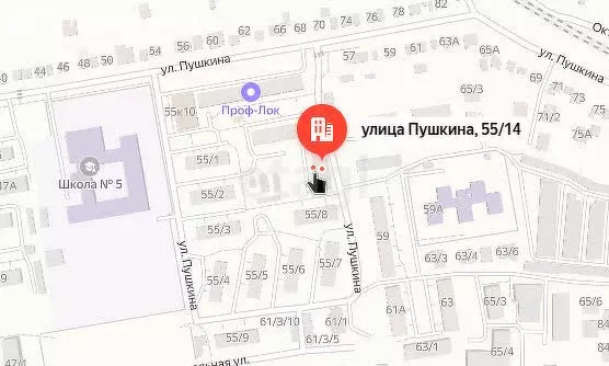 1-комнатная квартира: Михайловск, улица Пушкина, 55/14 (33 м) - Фото 0