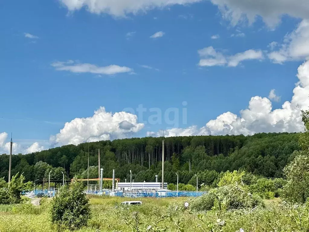Участок в Мордовия, Саранск городской округ, пос. Добровольный  (15.0 ... - Фото 1