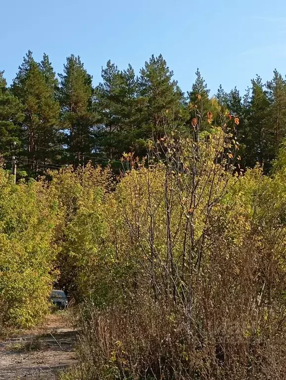 Участок в Самарская область, Самара Поселок Горелый хут., 21 (30.0 ... - Фото 0