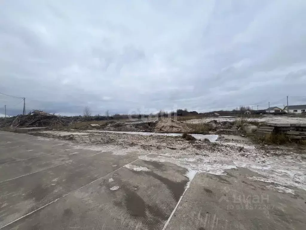 Участок в Владимирская область, Муром с. Борисово, ул. Новая, 29 ... - Фото 0