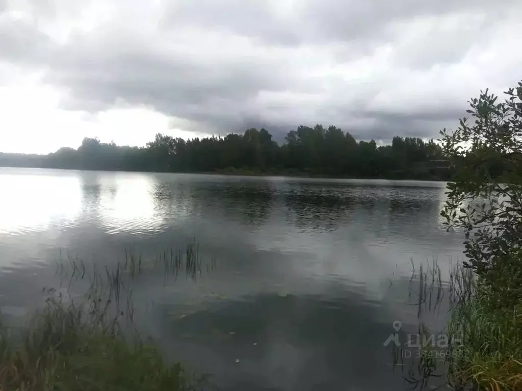 Участок в Псковская область, Гдовский муниципальный округ, д. ... - Фото 2