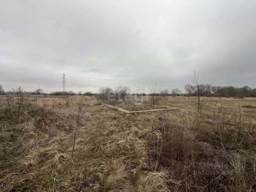 Участок в Воронежская область, с. Новая Усмань ул. Садовая (15.0 сот.) - Фото 0